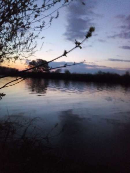 Проверка на реке