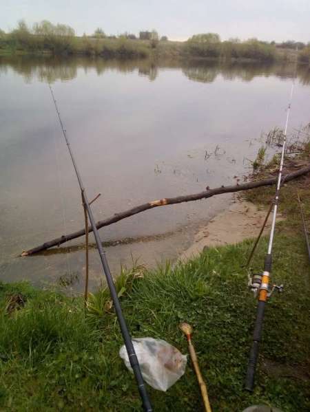 Проверка на реке