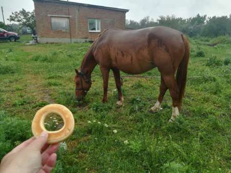 Райское место