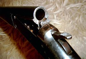 Ружье ИЖ 5 Ружье ИЖ 5