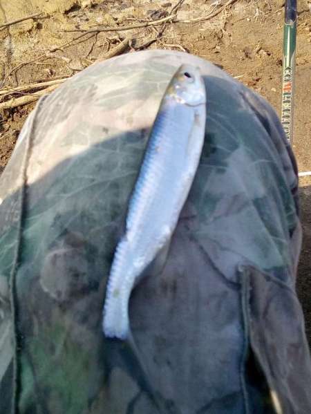 Рыбалка на пруду Агеевский Рыбалка на пруду Агеевский