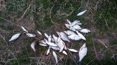 С друзьями на Озерну С друзьями на Озерну