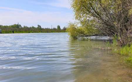 С микроджигом за щукой и окунем