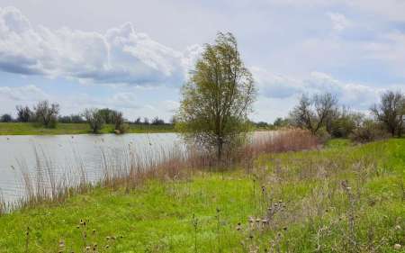 С микроджигом за щукой и окунем