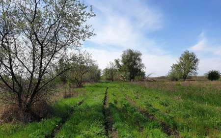 С микроджигом за щукой и окунем