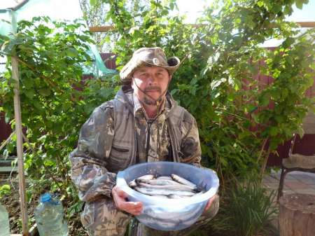 Селёдочные чудеса