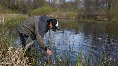 Шитики - лучшая насадка на фидер весной Шитики - лучшая насадка на фидер весной