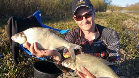 Шитики - лучшая насадка на фидер весной Шитики - лучшая насадка на фидер весной