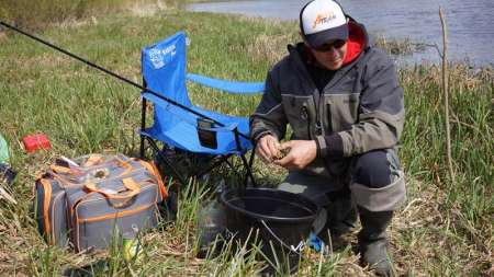 Шитики - лучшая насадка на фидер весной Шитики - лучшая насадка на фидер весной