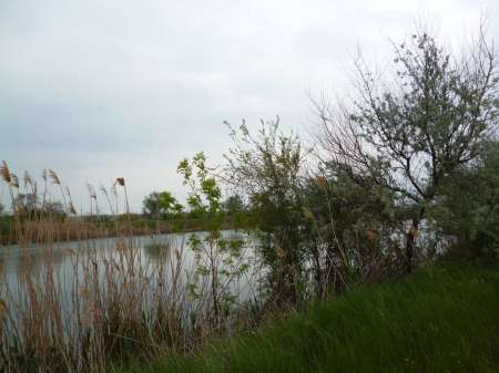 Снова в бой!