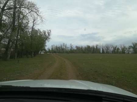 Сплошные приключения на Салу! Сплошные приключения на Салу!