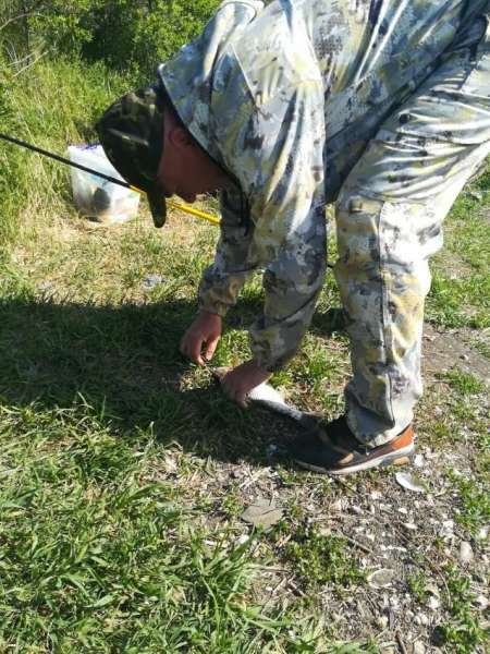 Сплошные приключения на Салу! Сплошные приключения на Салу!