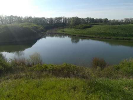 Сплошные приключения на Салу! Сплошные приключения на Салу!