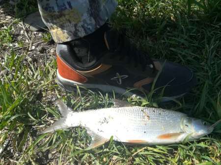 Сплошные приключения на Салу! Сплошные приключения на Салу!