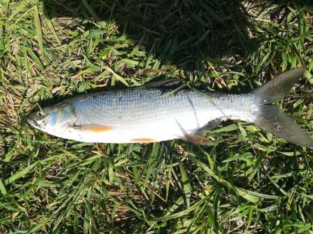 Сплошные приключения на Салу! Сплошные приключения на Салу!