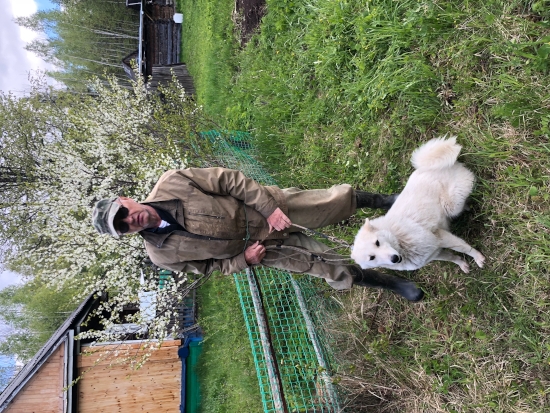 Степа, Стива и вальдшнепы Степа, Стива и вальдшнепы