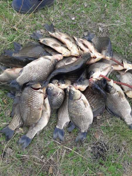 Таких лаптей я ещё не ловил!