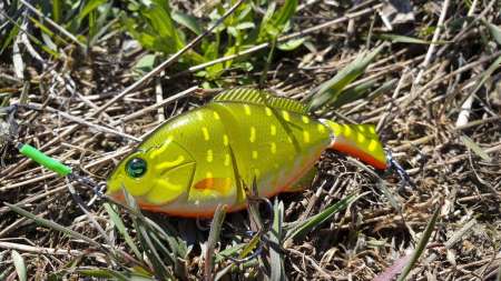 Топвотер (Тopwater). «Карасик» для щуки.