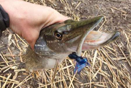 Уловистый рачок Sprut Shiku Уловистый рачок Sprut Shiku