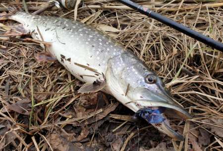 Уловистый рачок Sprut Shiku Уловистый рачок Sprut Shiku