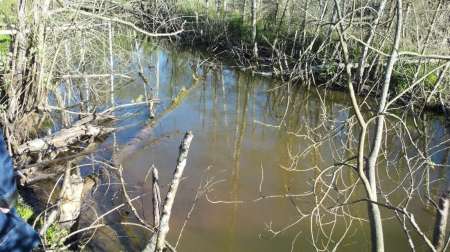 Ветер на Горелом