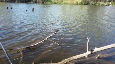 Ветер на Горелом