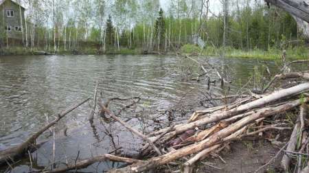 Ветер на Горелом