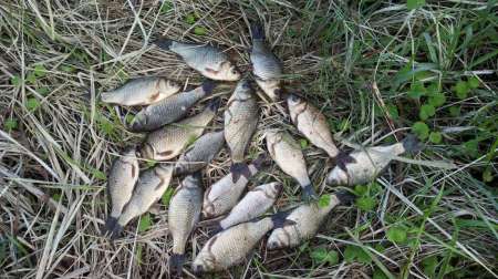 Ветер на Горелом