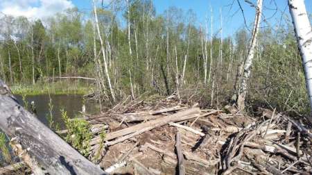 Ветер на Горелом