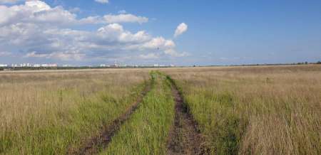 Внезапная рыбалка. За щукой.