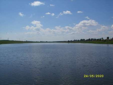 Выезд за карасём на пруд Выезд за карасём на пруд