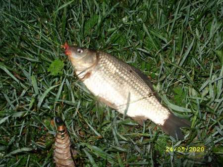 Выезд за карасём на пруд Выезд за карасём на пруд