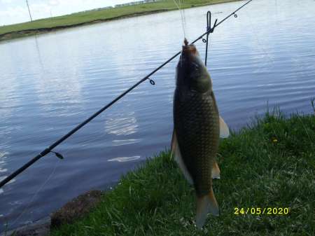 Выезд за карасём на пруд Выезд за карасём на пруд