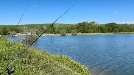 За амуром на домашнее озеро