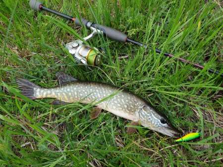 За щукой на каналы