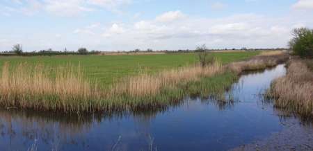 За щукой на каналы