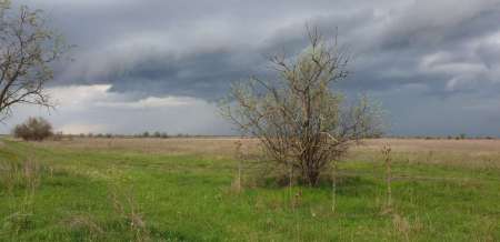 За щукой на каналы