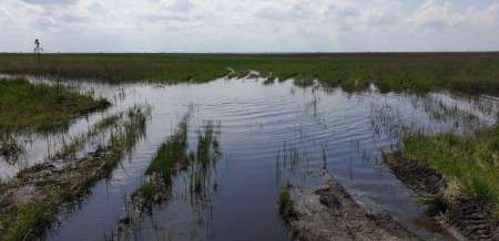 За щукой на каналы