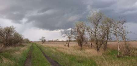 За щукой на каналы