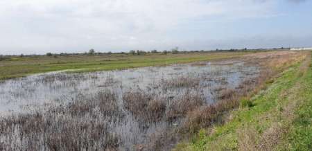 За щукой на каналы