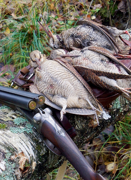 Запирание ружья: секреты и тонкости