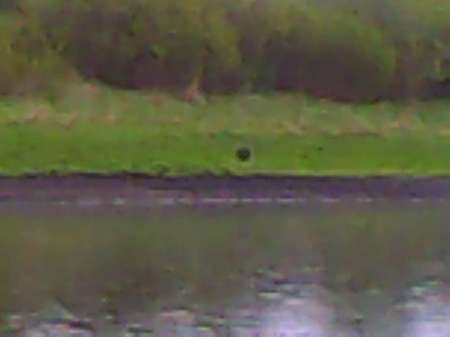 Ждём карася