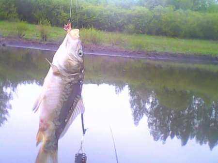 Ждём карася