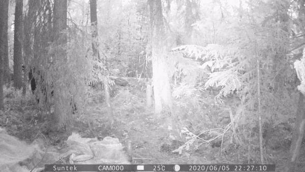 Восьмой Восьмой