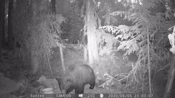 Восьмой Восьмой