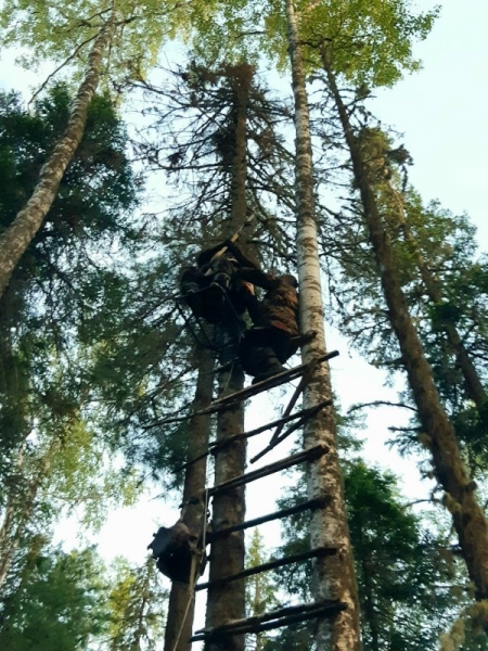 Восьмой Восьмой