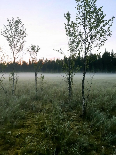 Восьмой Восьмой