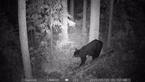 Восьмой Восьмой