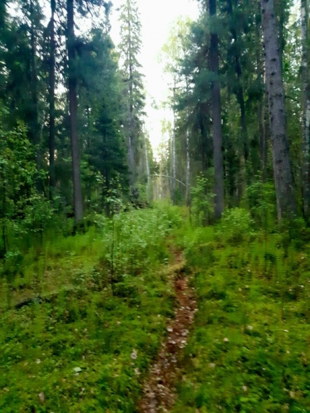 Восьмой Восьмой