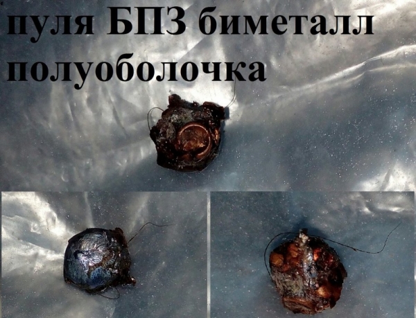 Моя охота на медведя весной 2020г. Моя охота на медведя весной 2020г.